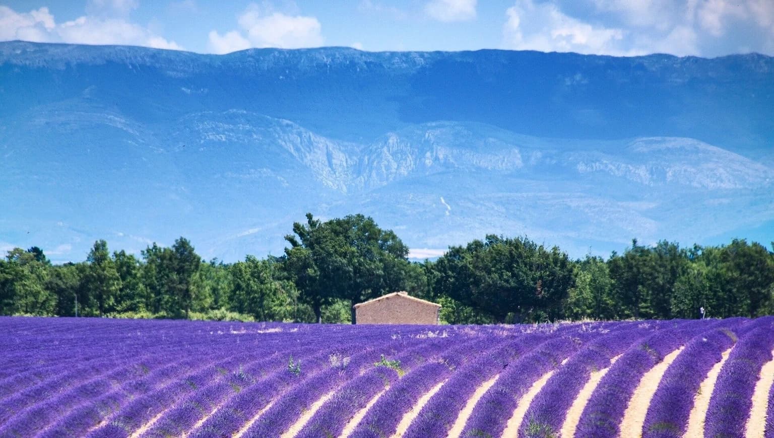 Bateaux à vendre à Valensole