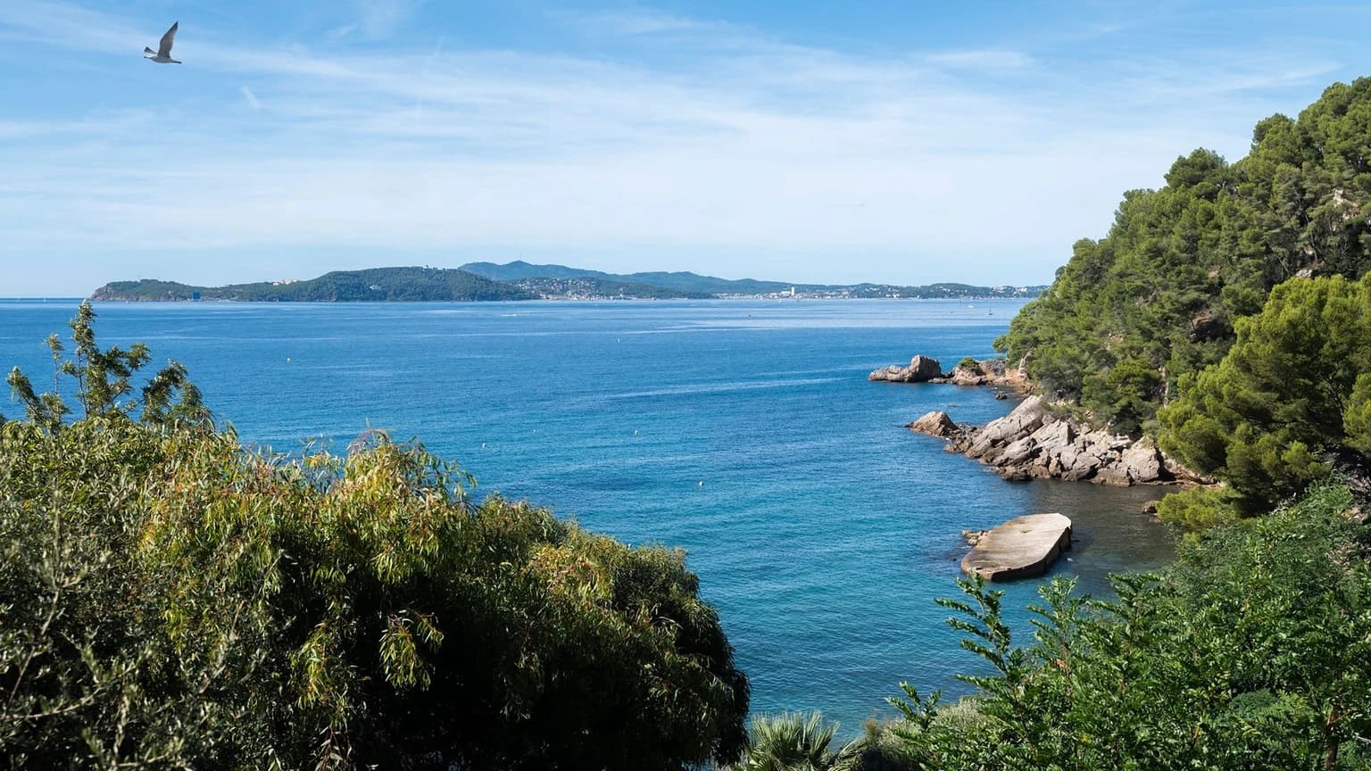 Bateaux à vendre à Le Pradet